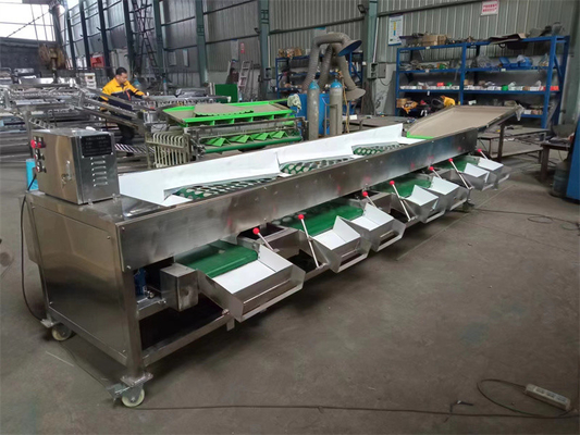 tomatoes sorting machine, tomatoes grading machine, tomato grader sorter